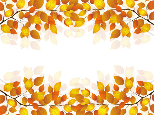 847785 (a): :5500x4117